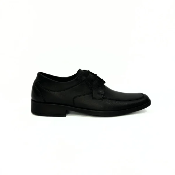 ZAPATOS ALFONSINI 776