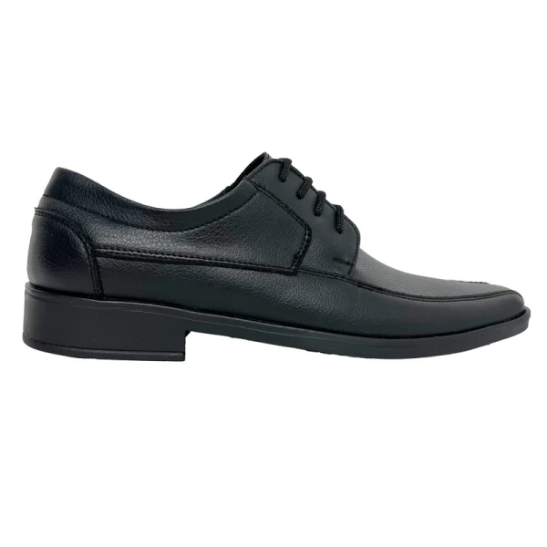Zapatos Alfonsini 751